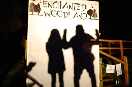 Enchanted Woodland 06